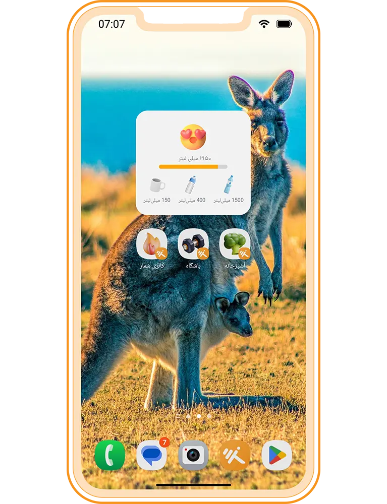 Widgets feature
